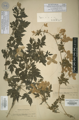 LE 01013961