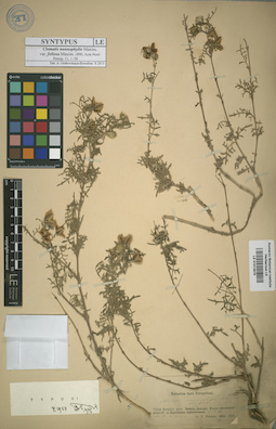 LE 01013970