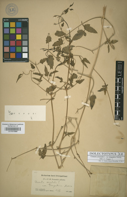 LE 01013980
