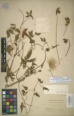 LE 01013982
