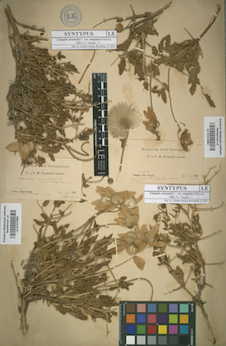 LE 01013984