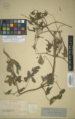 LE 01013985