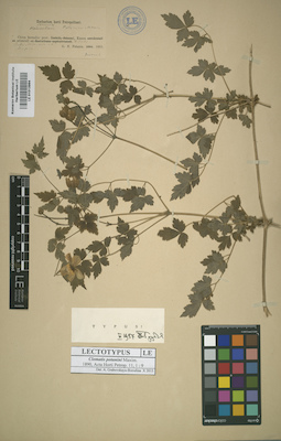 LE 01013994