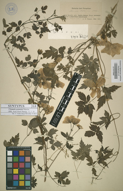 LE 01013995