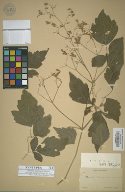 LE 01014003