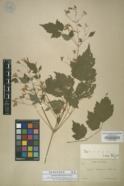 LE 01014004