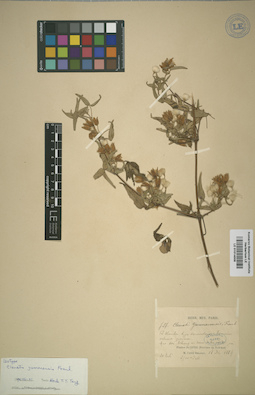 LE 01014008