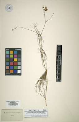LE 01014036