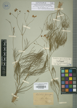 LE 01014038