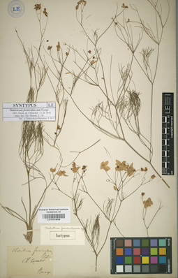 LE 01014039