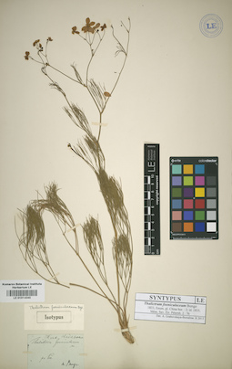 LE 01014040
