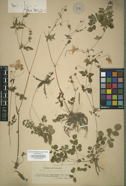 LE 01014042