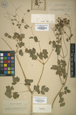 LE 01014044