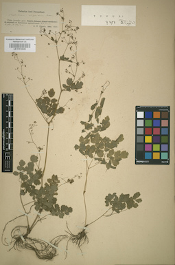 LE 01014046