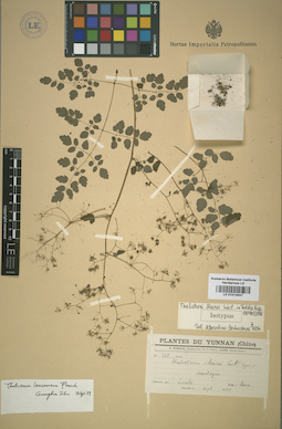 LE 01014047