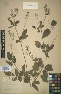 LE 01014051