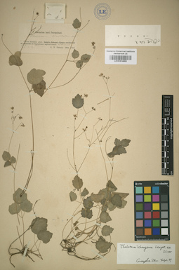 LE 01014052
