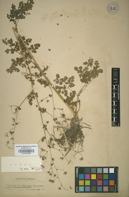 LE 01014053