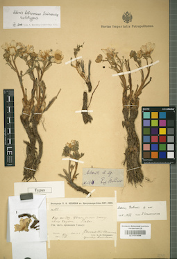 LE 01014066