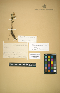 LE 01014067