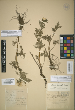 LE 01014070