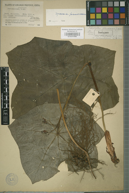 LE 01014093