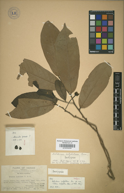 LE 01014101