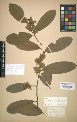 LE 01014105