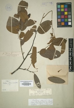 LE 01014106