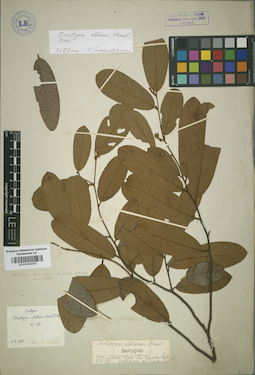 LE 01014107