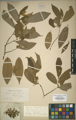 LE 01014108