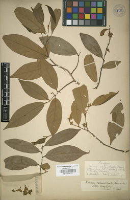LE 01014110