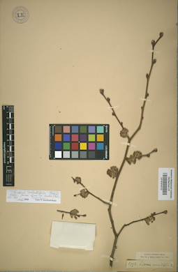 LE 01014112