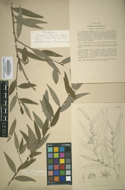LE 01014114