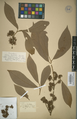 LE 01014116