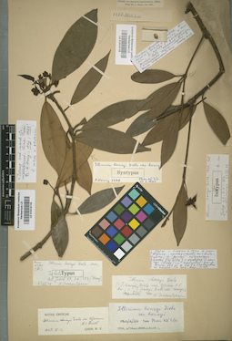 LE 01014118