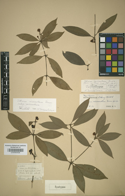 LE 01014124