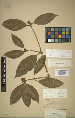 LE 01014126