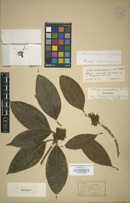 LE 01014128