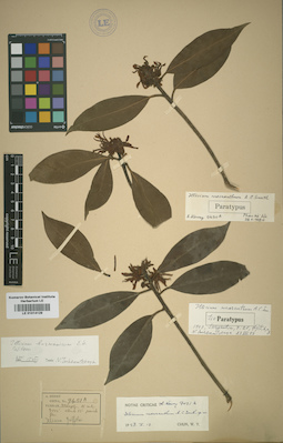 LE 01014129