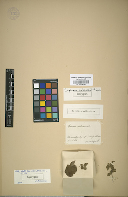 LE 01014134