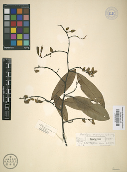 LE 01014136