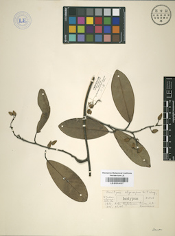 LE 01014137