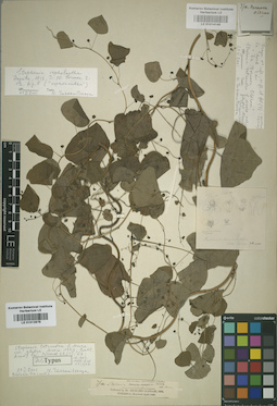 LE 01014149