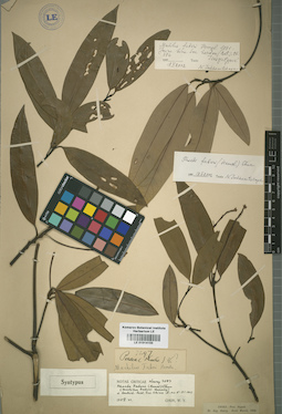 LE 01014155