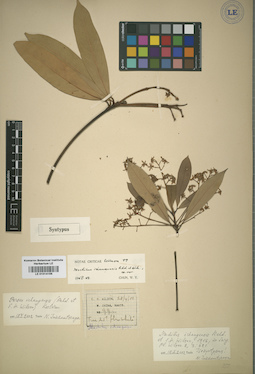 LE 01014156