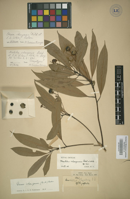 LE 01014157