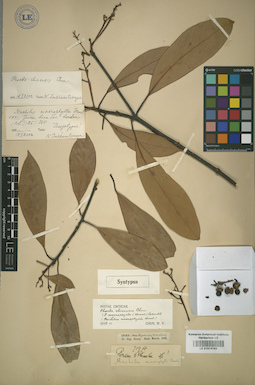 LE 01014162