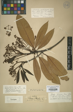 LE 01014163