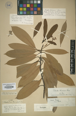 LE 01014164